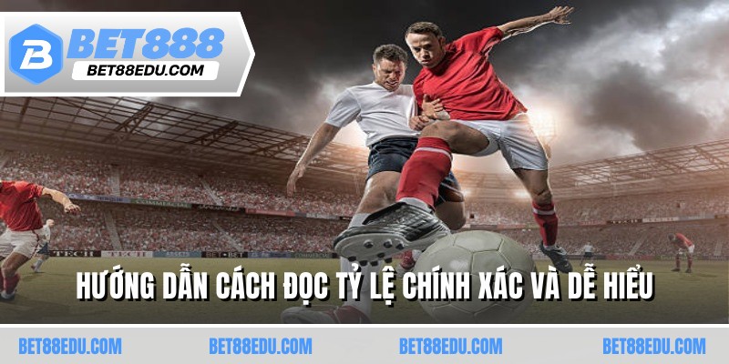 Hướng dẫn cách đọc tỷ lệ chính xác và dễ hiểu