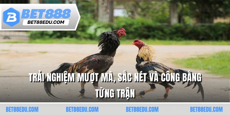 Trải nghiệm mượt mà, sắc nét và công bằng từng trận